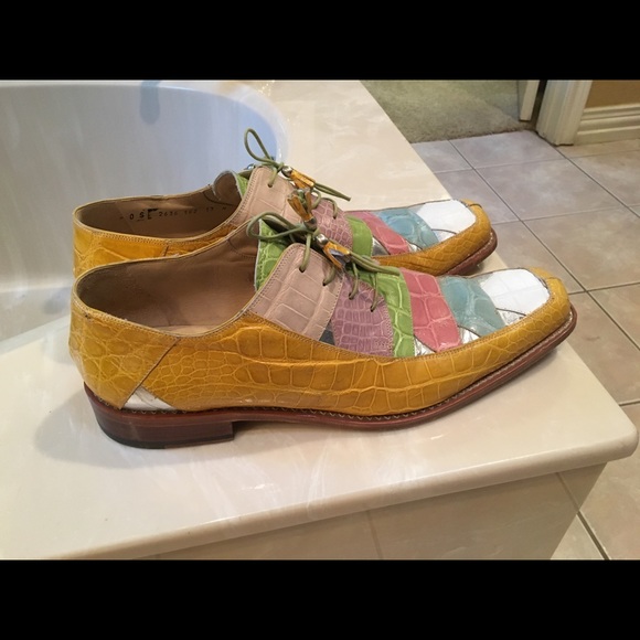 Mauri Other - Unique colorful mauri  alligator